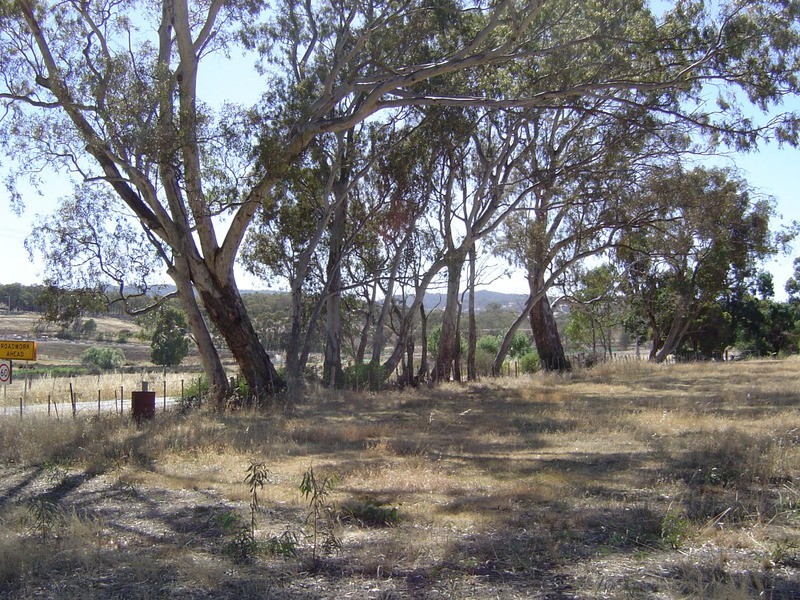 Lot 1 Corner Blackjack And Adams Road, Harcourt VIC 3453