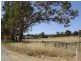 Lot 1 Corner Blackjack And Adams Road, Harcourt VIC 3453