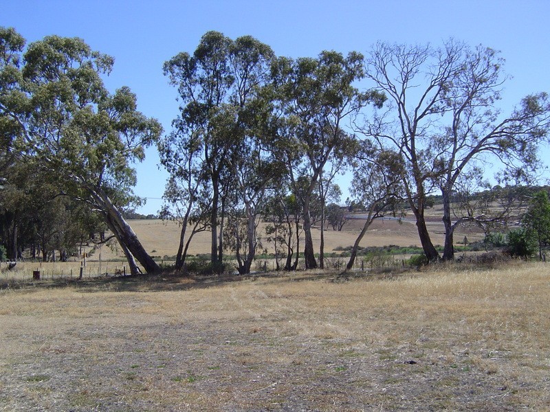 Lot 1 Corner Blackjack And Adams Road, Harcourt VIC 3453