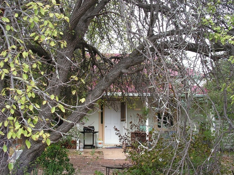 9 Newcombe Street, Castlemaine VIC 3450