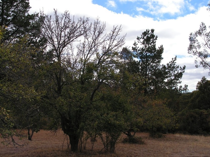 9 Newcombe Street, Castlemaine VIC 3450