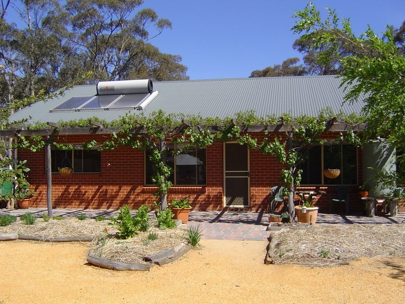 17 Codrington Street, Newstead VIC 3462