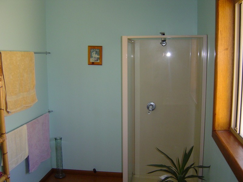 17 Codrington Street, Newstead VIC 3462