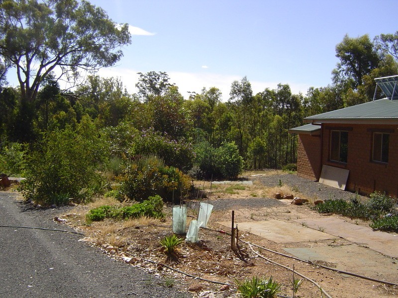 40 Casley Lane, Yandoit VIC 3461