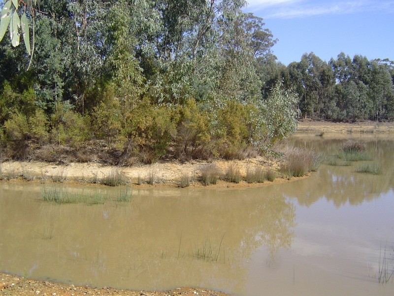 40 Casley Lane, Yandoit VIC 3461