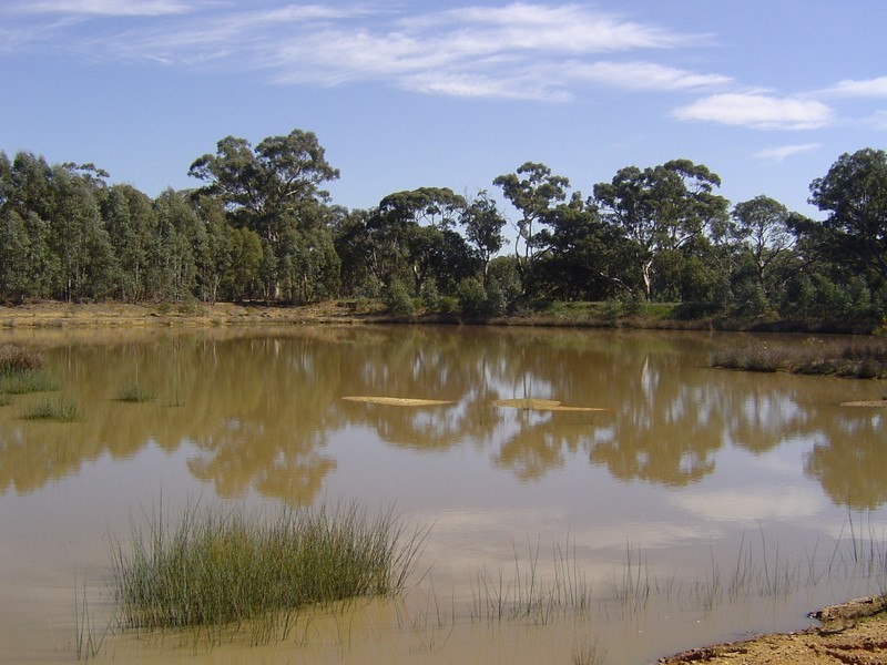 40 Casley Lane, Yandoit VIC 3461