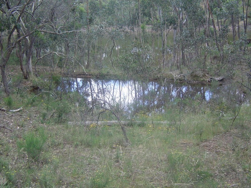 121 Binghams Road, Harcourt VIC 3453