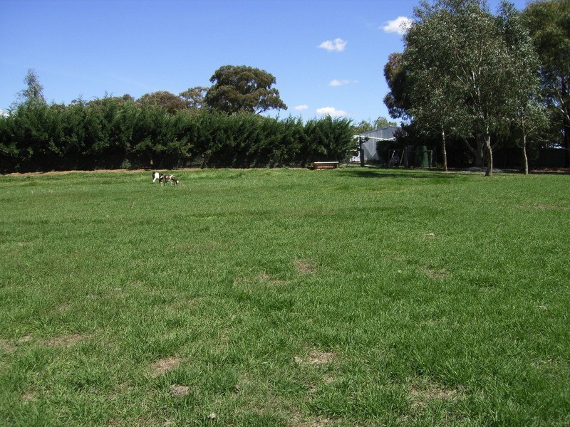 38 Blackjack Road, Harcourt VIC 3453