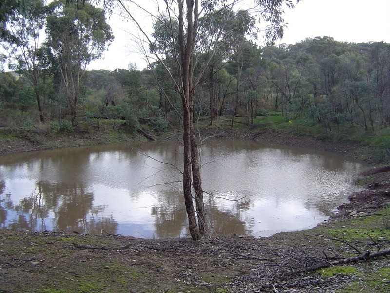 29 Old Reservoir Road, Chewton VIC 3451