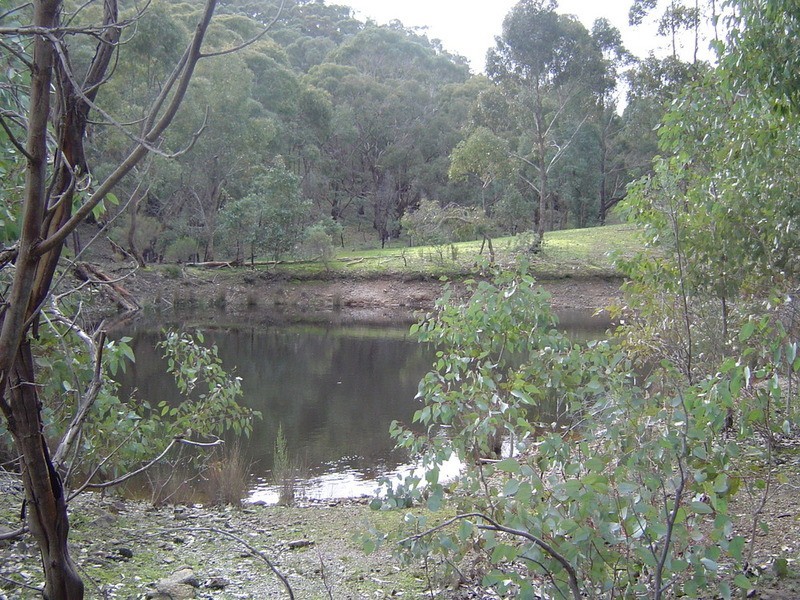 29 Old Reservoir Road, Chewton VIC 3451