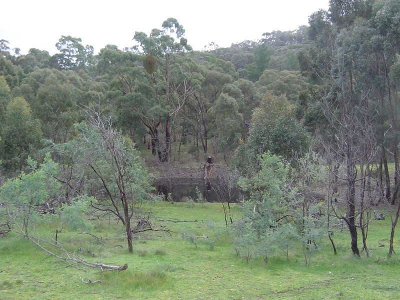 29 Old Reservoir Road, Chewton VIC 3451