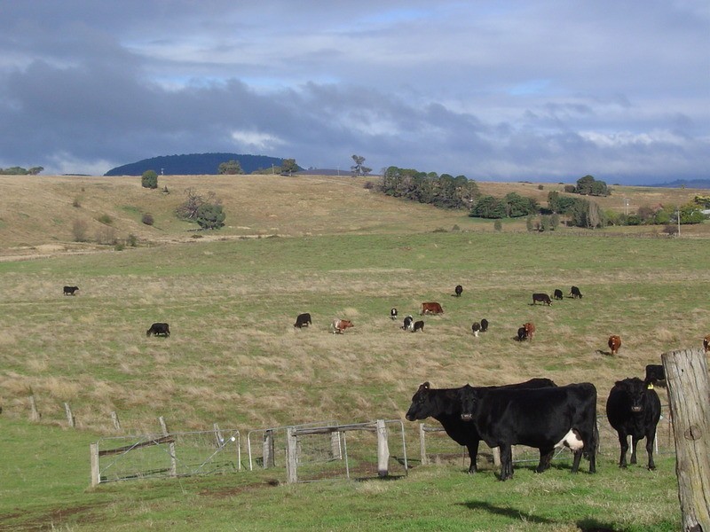 105 Steeles Road, Yandoit VIC 3461