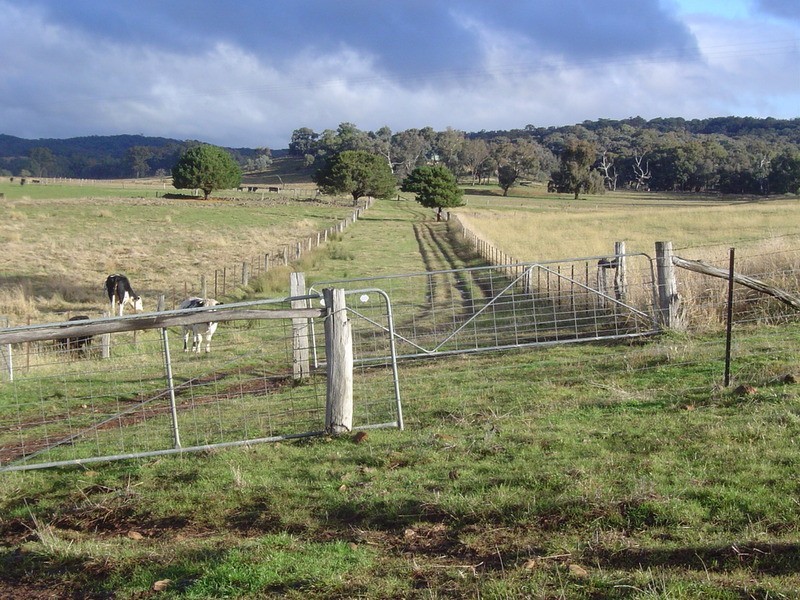 105 Steeles Road, Yandoit VIC 3461