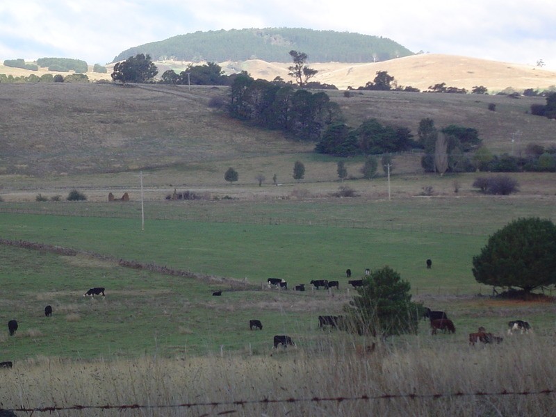 105 Steeles Road, Yandoit VIC 3461