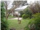 16 Charles Street, Castlemaine VIC 3450