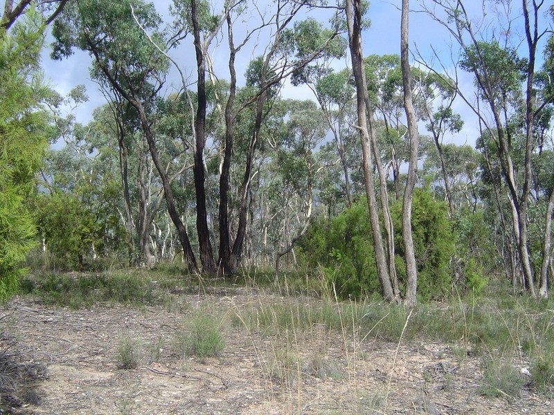 117 Erin Court, Muckleford VIC 3451