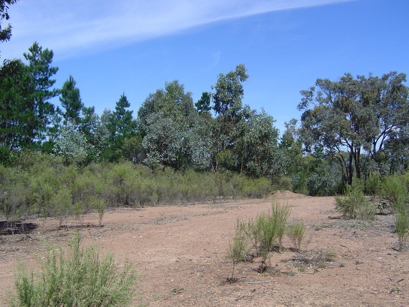 9a/b Blanket Gully Road, Campbells Creek VIC 3451