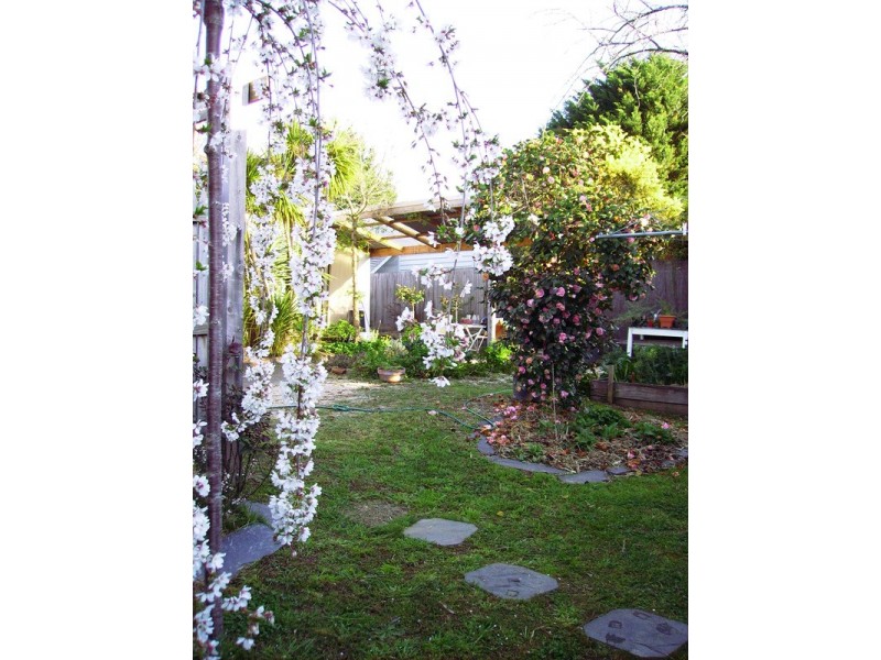 1 Roderick  Street, Castlemaine VIC 3450