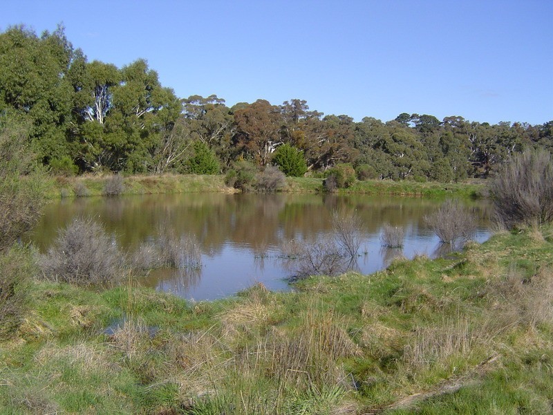 21 Grations Road, Elphinstone VIC 3448