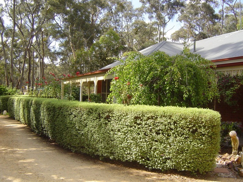 70  Colles  Road, Castlemaine VIC 3450