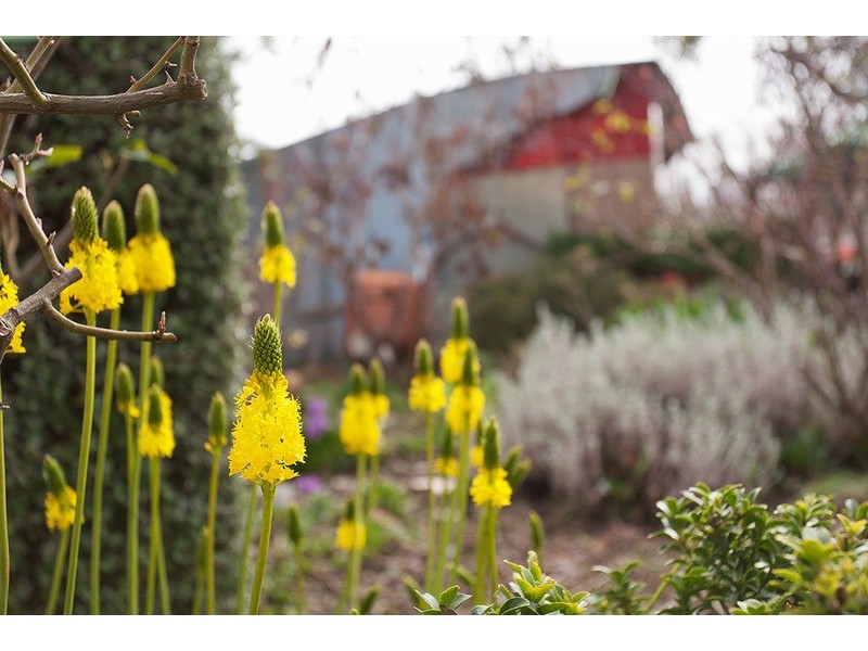 3 Doveton Street, Castlemaine VIC 3450