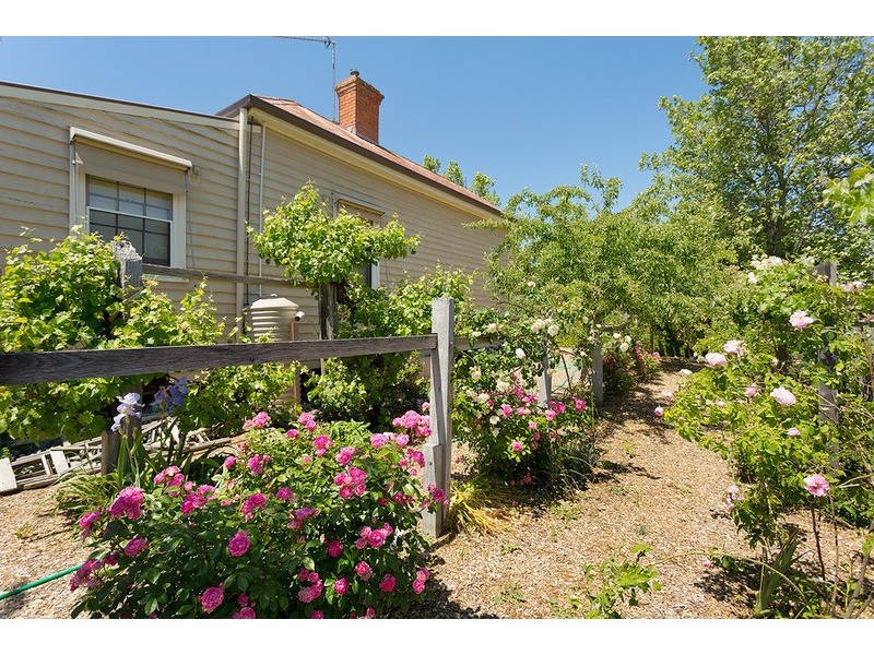 3 Doveton Street, Castlemaine VIC 3450