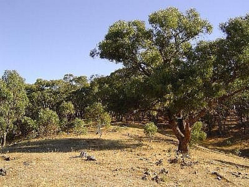 Lot 10 Richards Road, Castlemaine VIC 3450