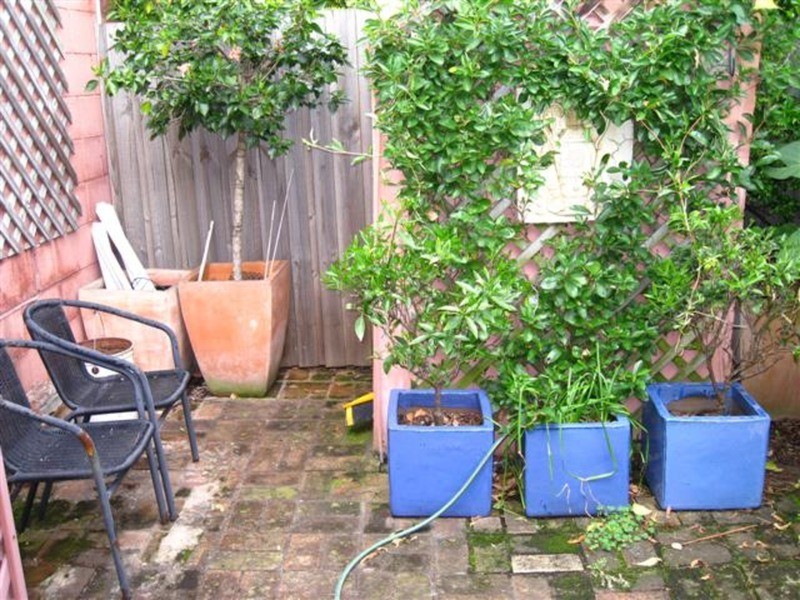 10 Cambridge Street, Rozelle NSW 2039