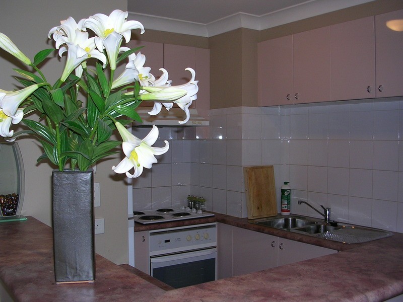 508/233 Pyrmont Street, Pyrmont NSW 2009