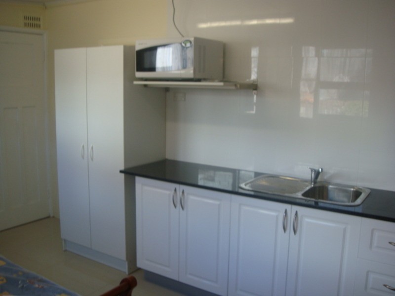 19 Crystal Street, Petersham NSW 2049