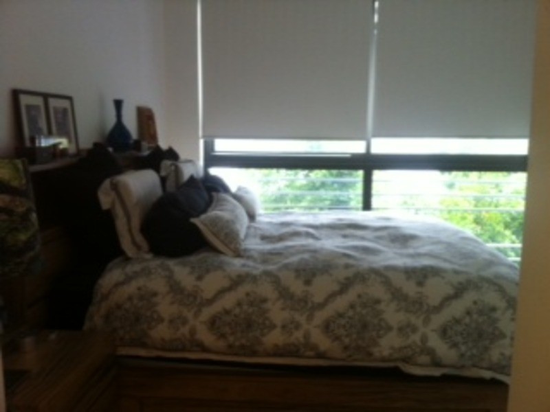 25 Bowman Street, Pyrmont NSW 2009