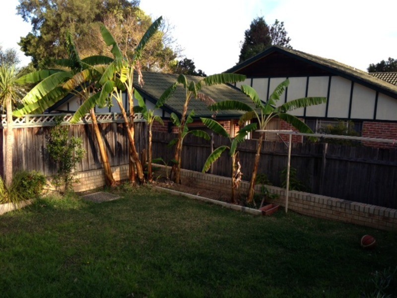 16 Page Street, Wentworthville NSW 2145