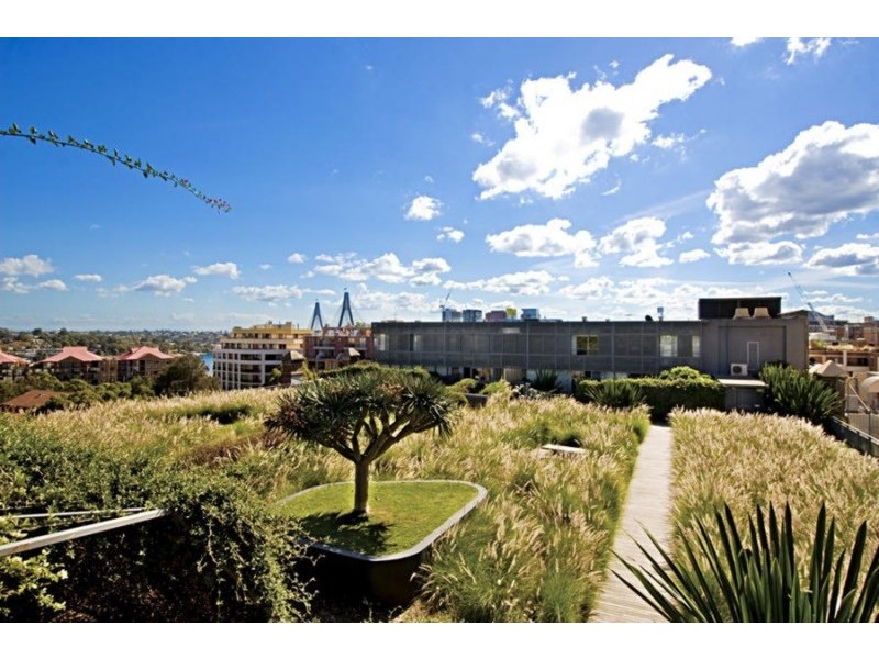 380 Harris Street, Pyrmont NSW 2009