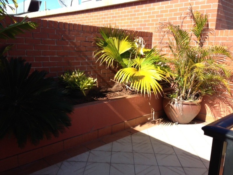 199 Pyrmont Street, Pyrmont NSW 2009