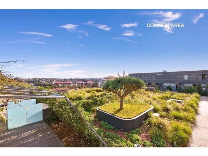 320 Harris Street, Pyrmont NSW 2009