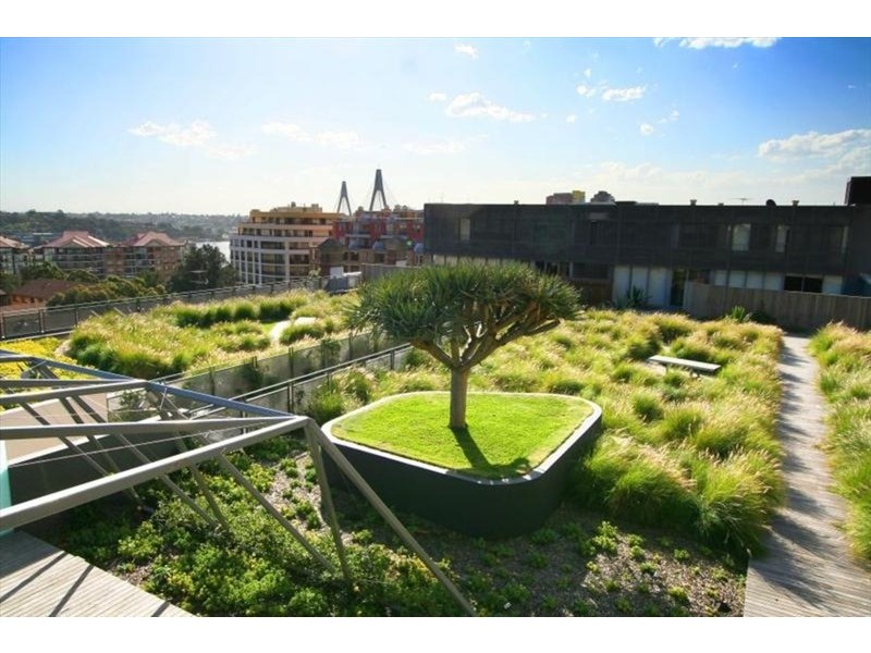 320 Harris Street, Pyrmont NSW 2009