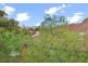 68 Cambridge Street, Stanmore NSW 2048
