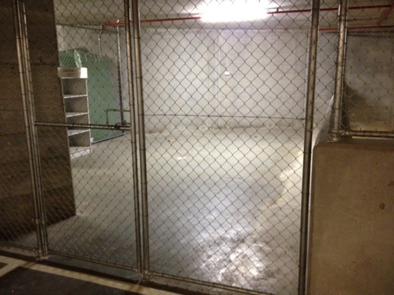 2 Bowman Street, Pyrmont NSW 2009