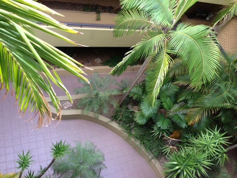 146 Cleveland Street, Chippendale NSW 2008