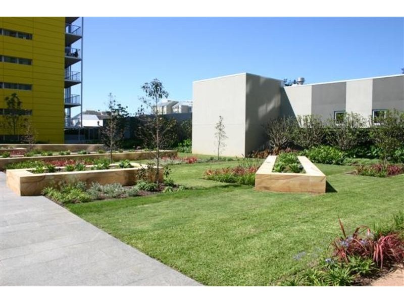 45 Bowman Street, Pyrmont NSW 2009