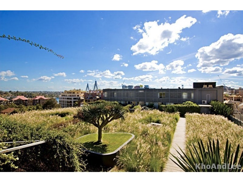 110/380 Harris Street, Pyrmont NSW 2009