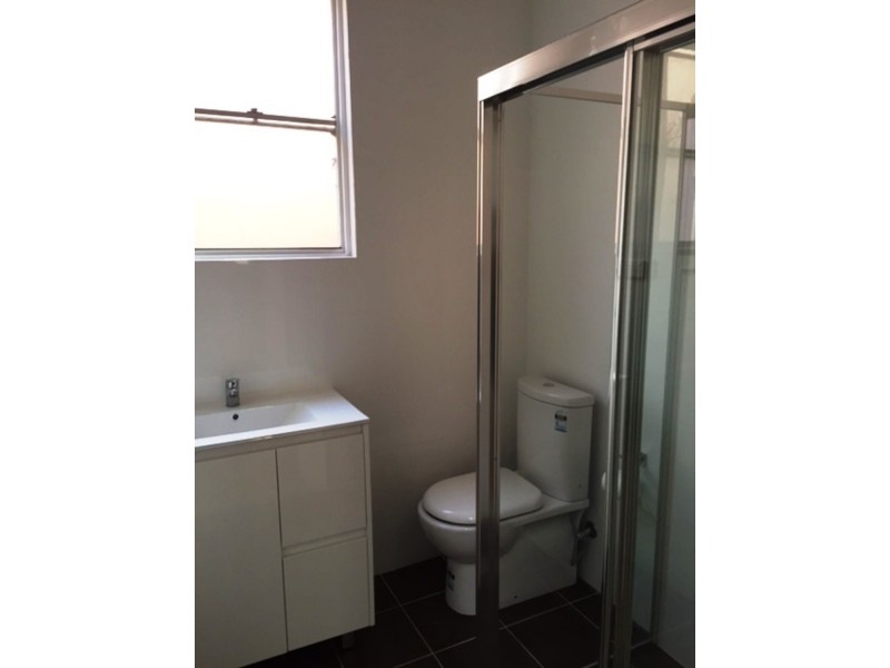 23 Crystal Street, Petersham NSW 2049