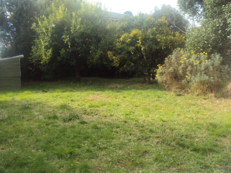 Dandenong VIC 3175