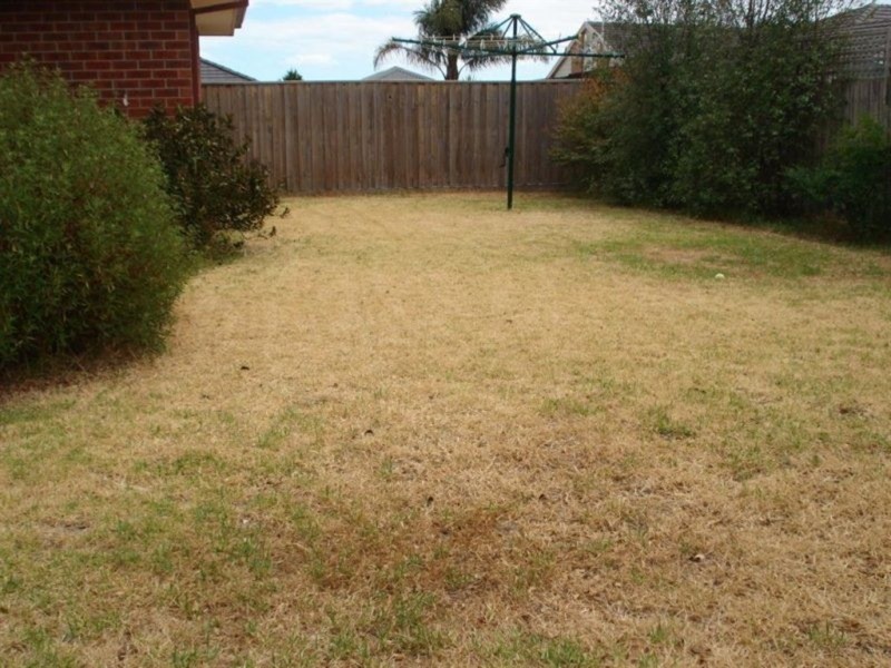 Narre Warren South VIC 3805