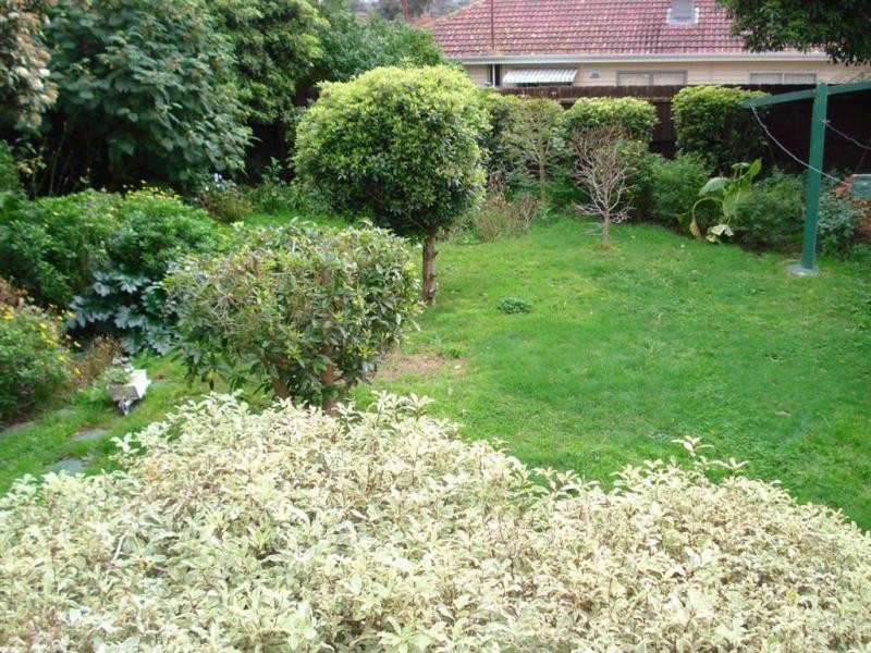 Dandenong VIC 3175