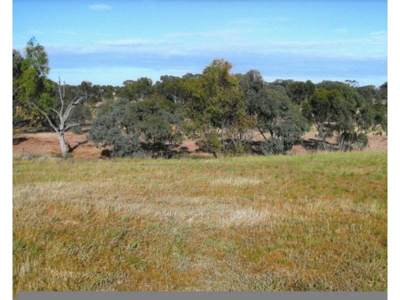 5-9 Ray Court, Donald VIC 3480