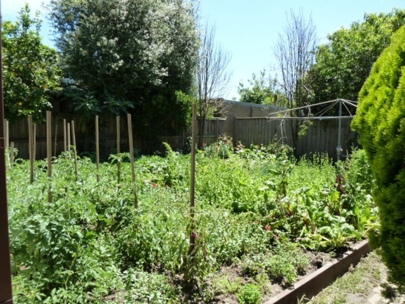 Ferntree Gully VIC 3156