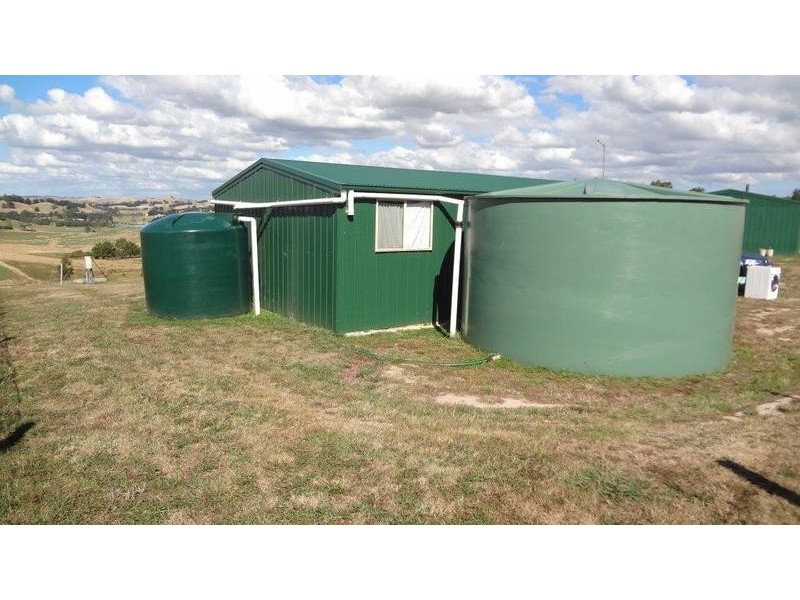 Nyora VIC 3987