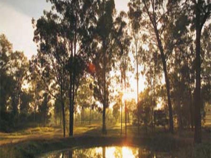 Augustine Heights QLD 4300