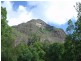 Beerwah QLD 4519